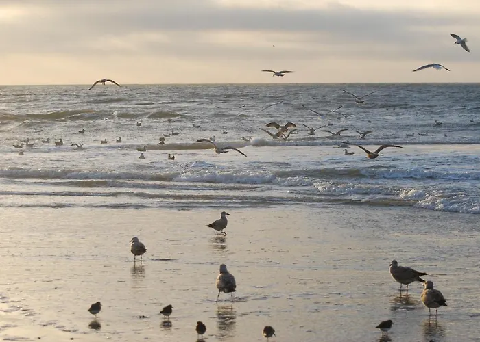Vakantiehuis Idylle Aan Zee, Prive Sauna